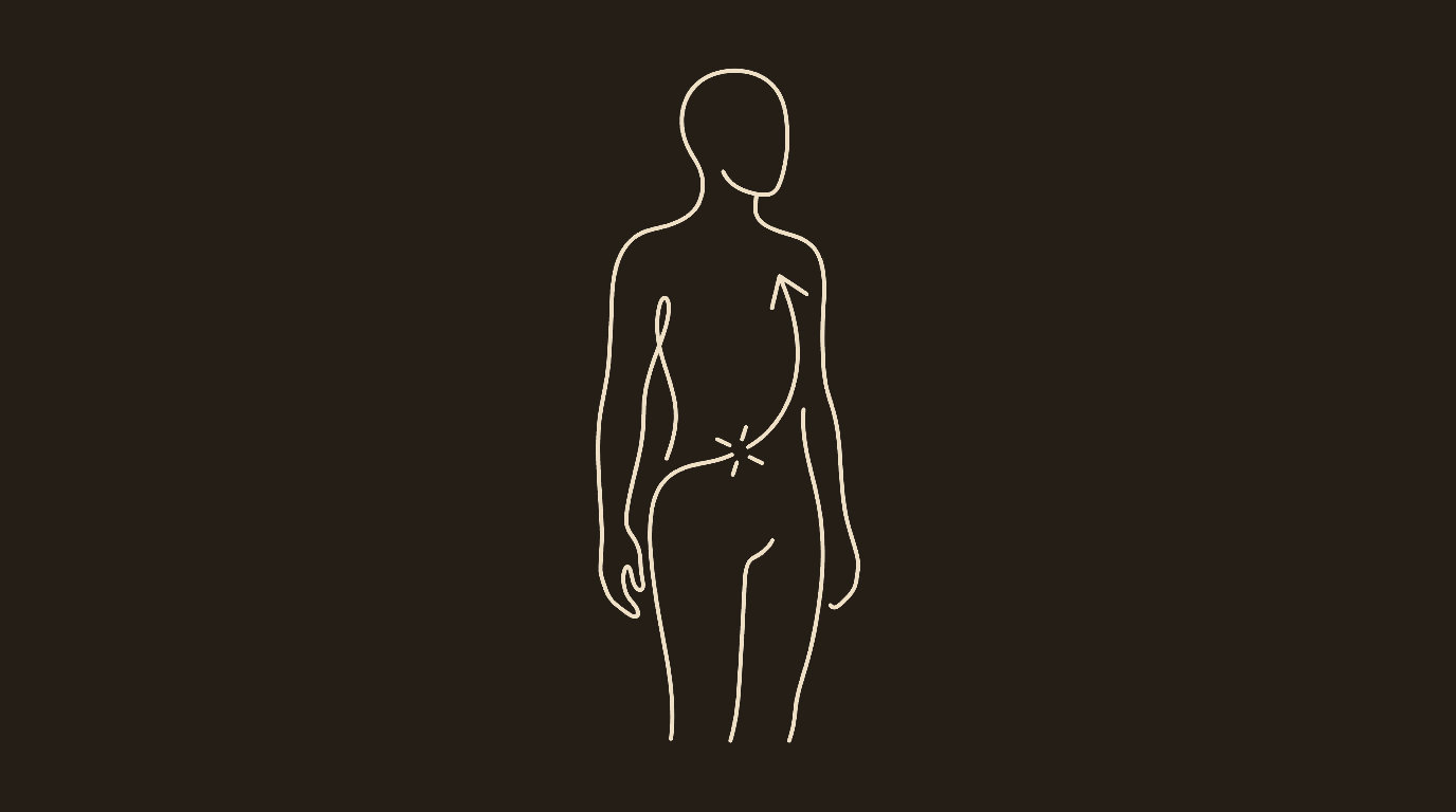 Porn-induced erectile dysfunction (PIED): a guide